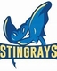Idea stingrays logo