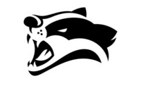 Badger edit 