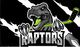 Raptors