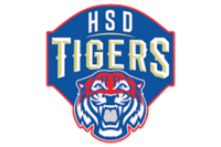 Houston harmony school of discovery tigers
