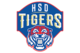 Houston harmony school of discovery tigers