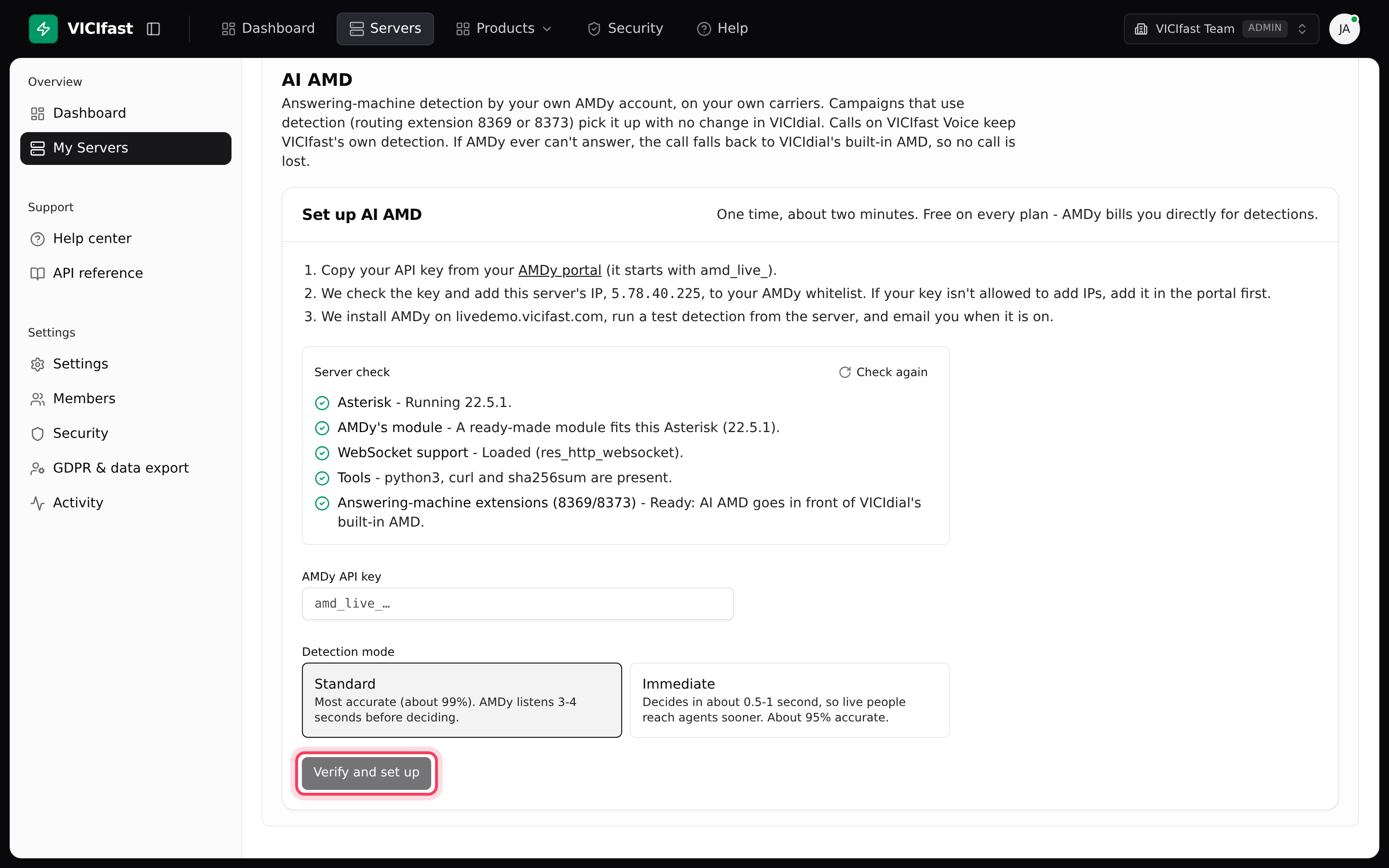 The AI AMD tab before setup: the server check, the key box and the two modes