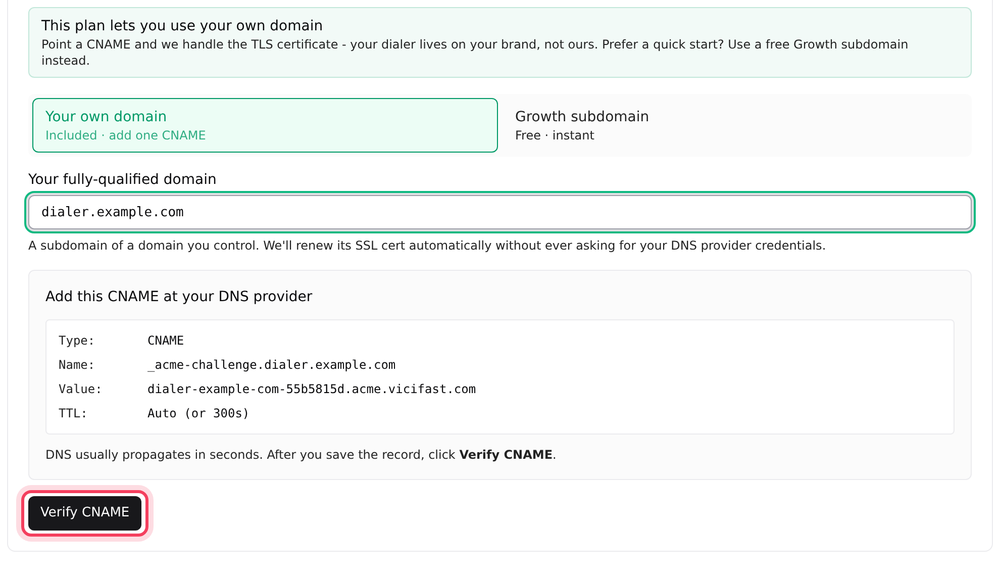 The domain step with your own domain and the CNAME to add