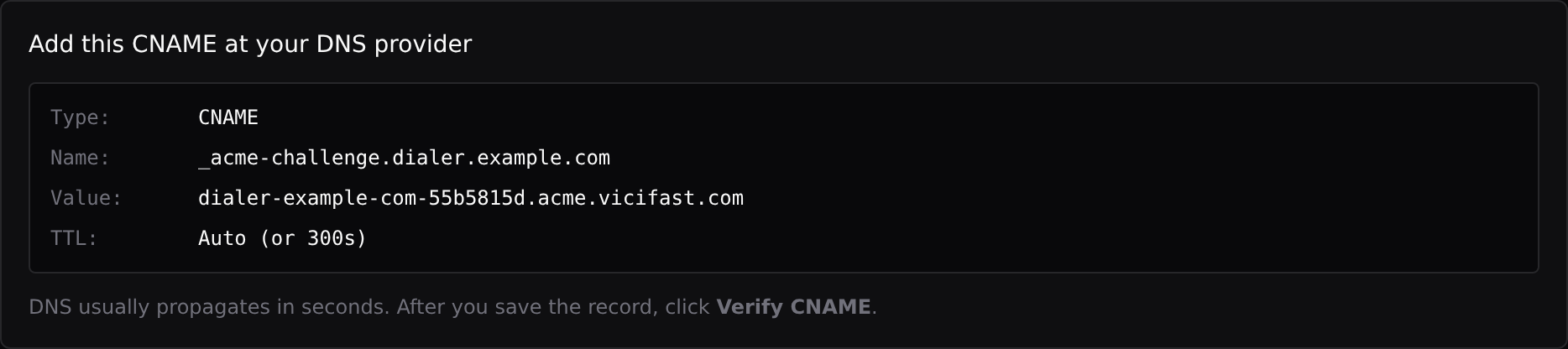 The exact CNAME record to add at your DNS provider