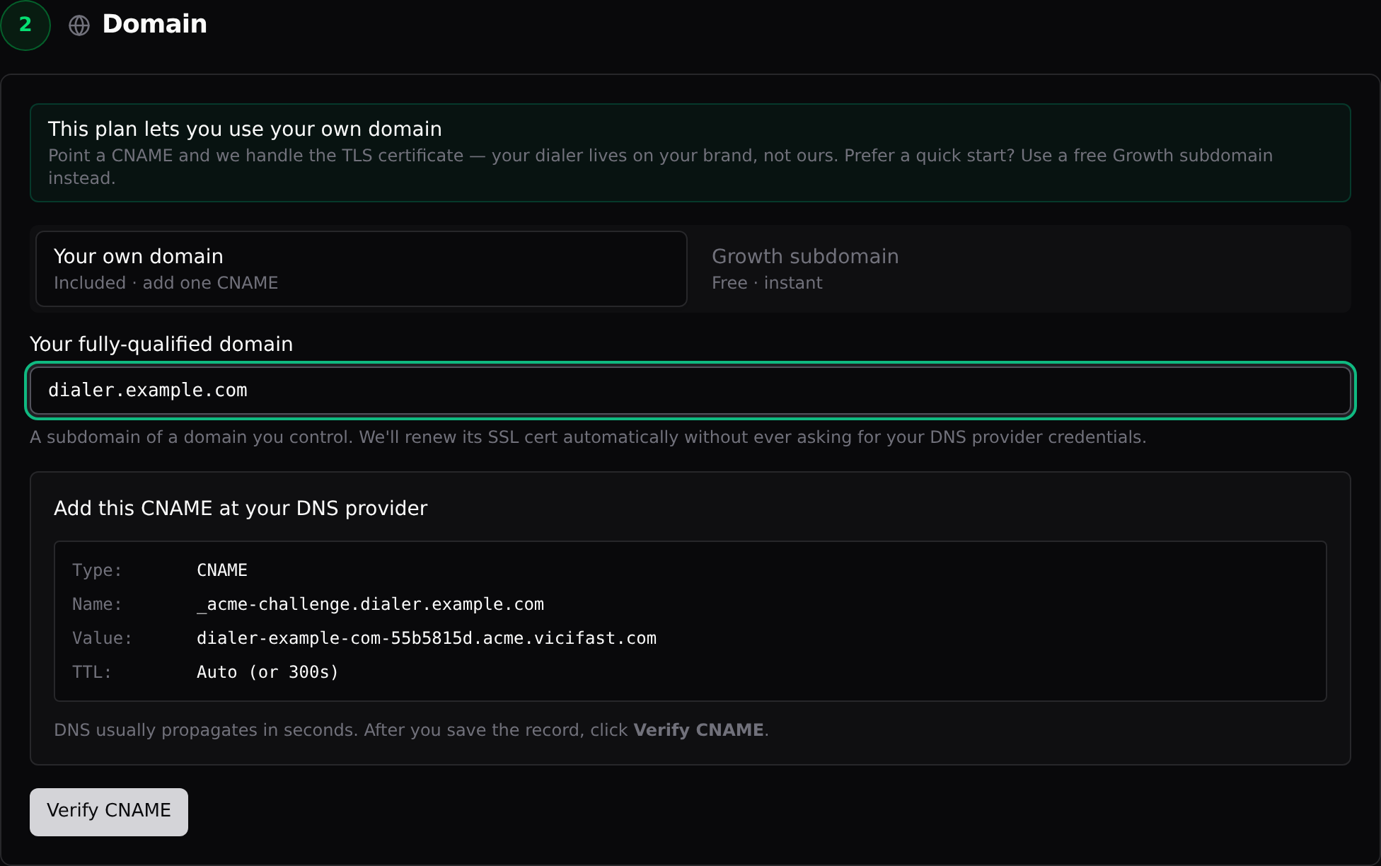 The Domain step on the configure screen: own-domain mode selected, address typed, CNAME instructions shown