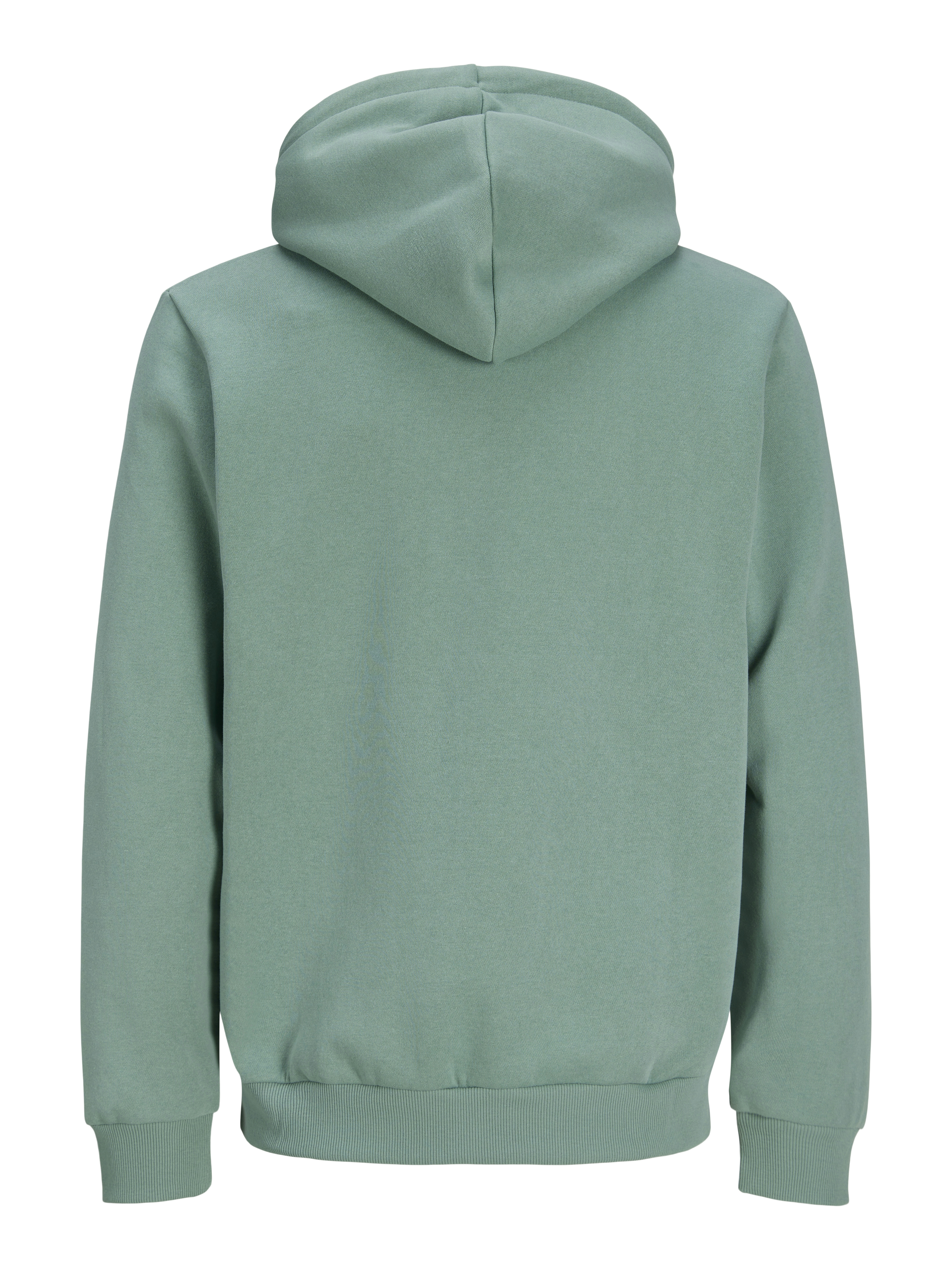 JJEBRADLEY SWEAT ZIP HOOD NOOS