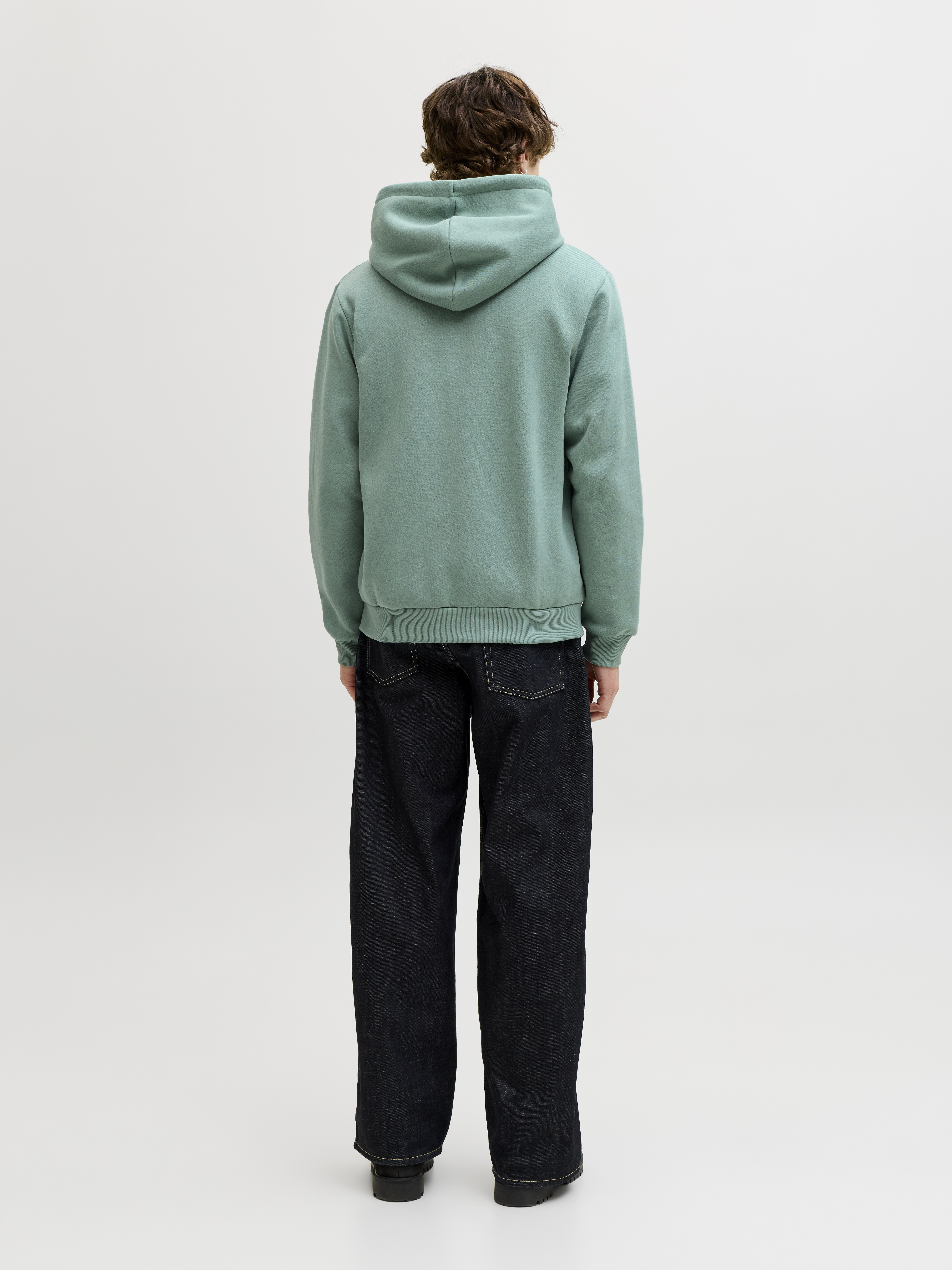 JJEBRADLEY SWEAT ZIP HOOD NOOS