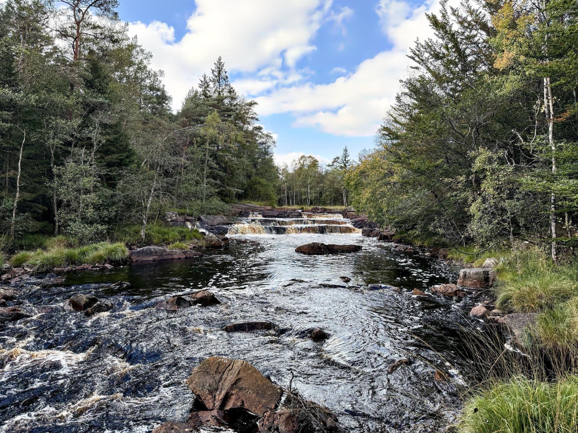 A cascading waterfall flows through a series of rocky ledges surrounded by dense woodland. The water, filled with bubbles and foam, winds down the falls against a backdrop of mixed trees under a partly cloudy sky. Various rocks and grassy patches line the riverbanks, enhancing the natural, rugged landscape.