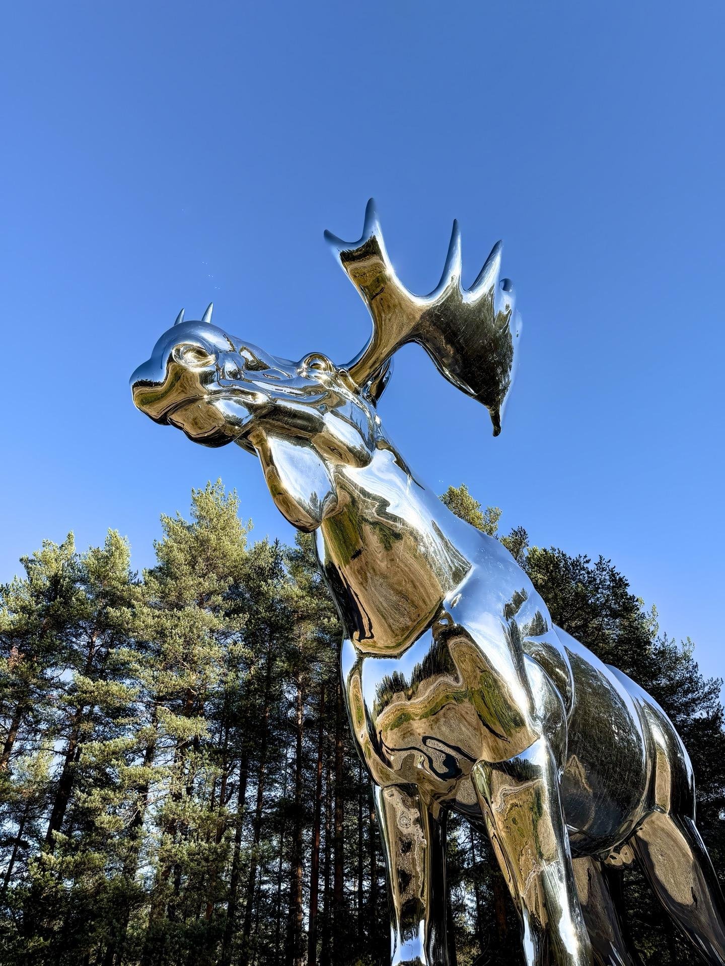 A polished chrome sculpture of a moose stands tall against a clear blue sky, reflecting its surroundings. The sculpture is captured with a background of tall, dense pine trees, emphasizing a contrast between natural and artistic elements. Noticeable are the detailed antlers and the smooth, mirror-like surface of the sculpture, which distorts and plays with the reflections of the trees and sky.
