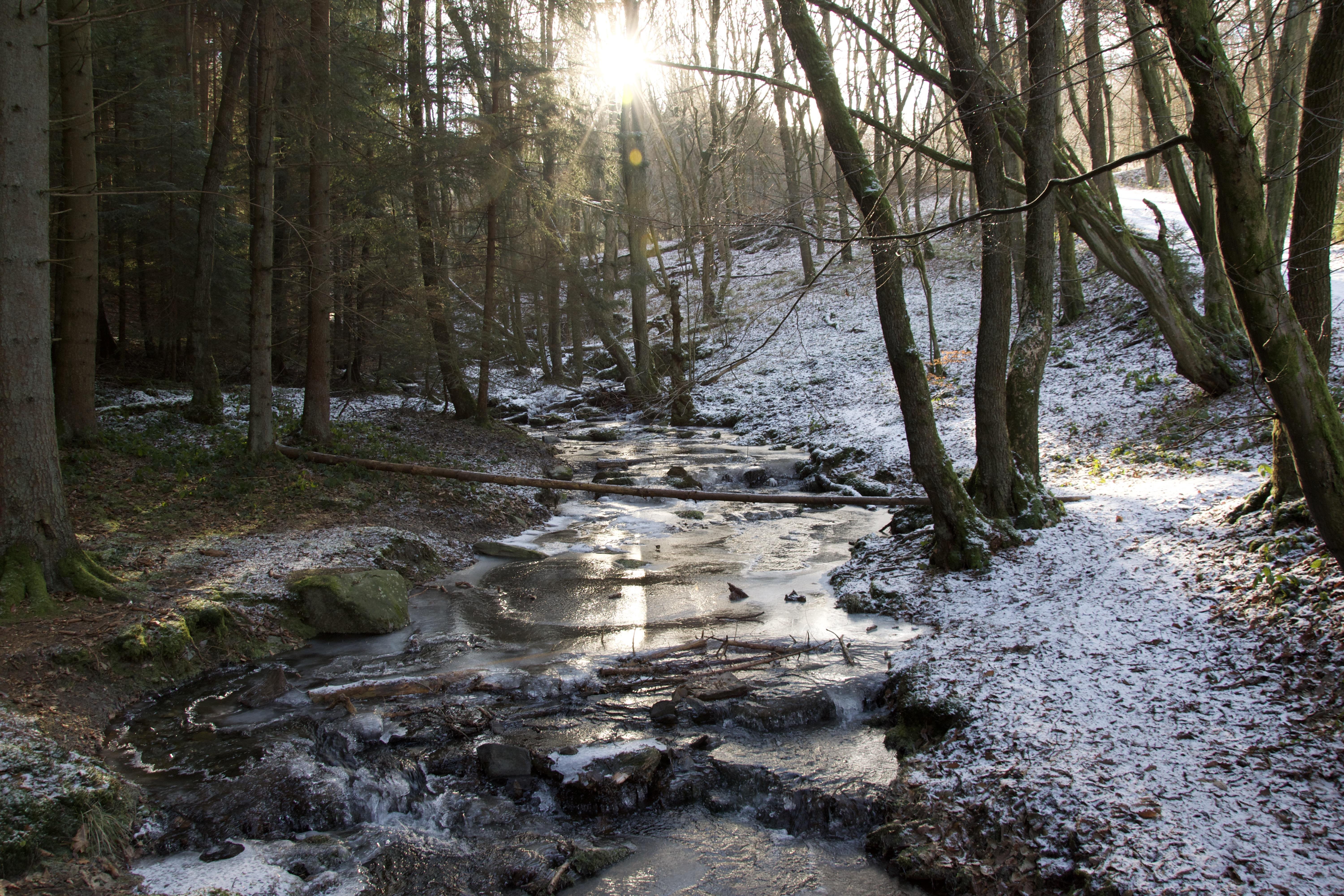 Sunlight filters through the trees in a snow-dusted forest, illuminating a small stream running over rocks, with patches of ice and snow along the banks. Surrounding trees cast shadows over the snowy ground, contrasting with the bright reflections on the water's surface.