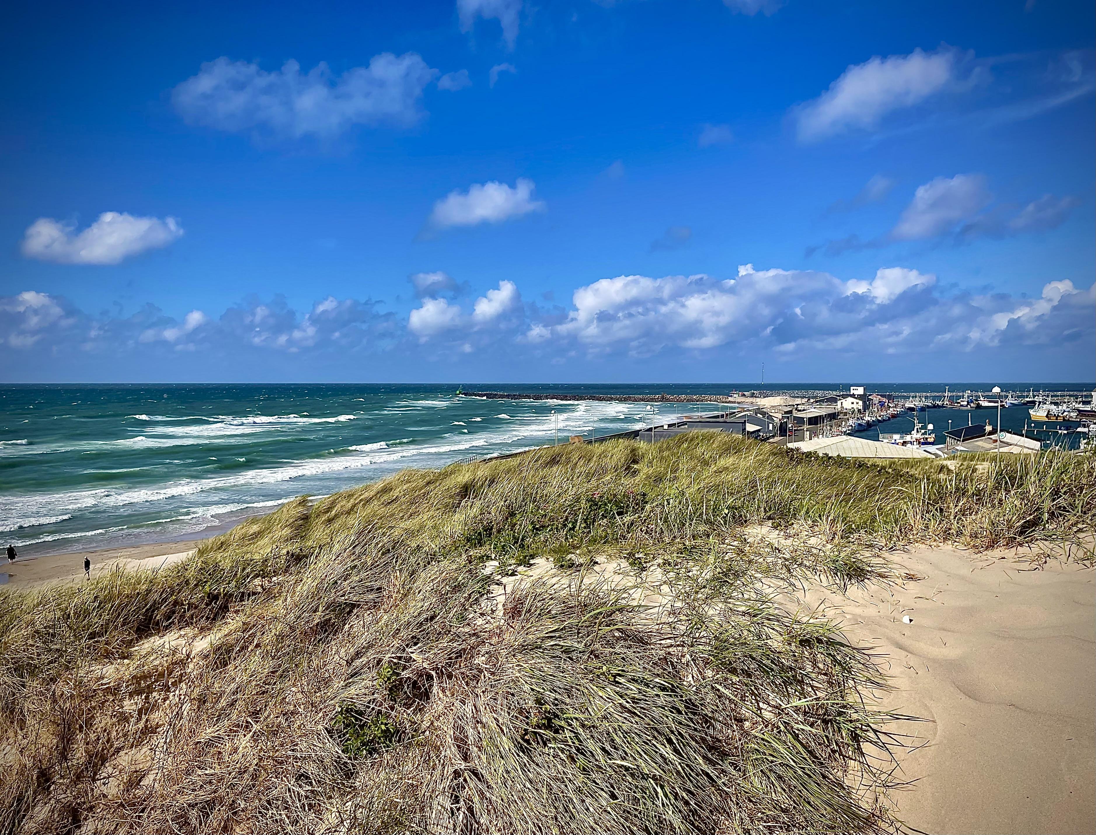Coastal scene with a sandy dune covered in tufts of grass in the foreground, overlooking a choppy sea and a cloudy sky. In the distance, a pier and some buildings are visible along the shoreline.