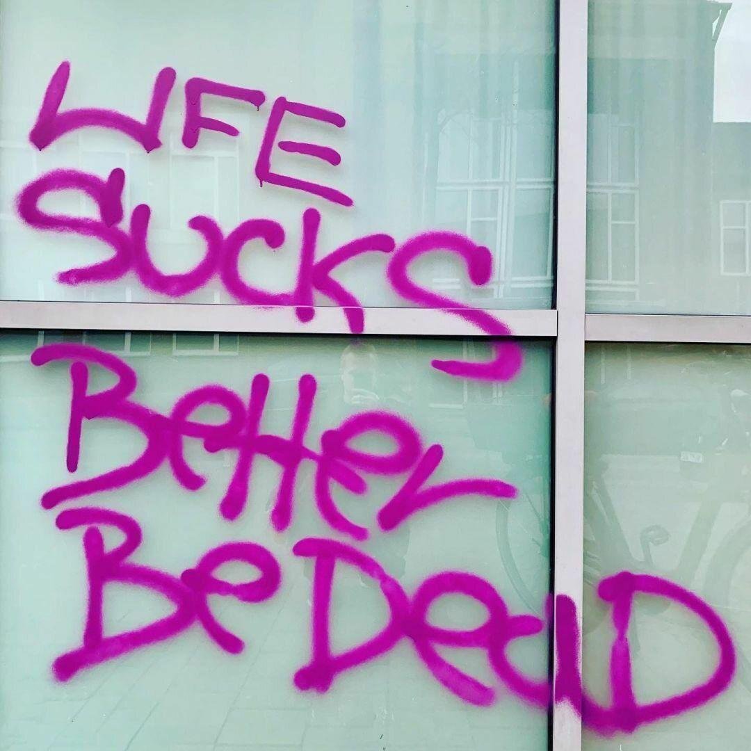 Bright pink graffiti on a glass window reads "LIFE SUCKS" and "BETTER BE DEAD". The text is written in large, bold spray paint and the reflection of buildings and a bicycle is visible in the background through the glass.