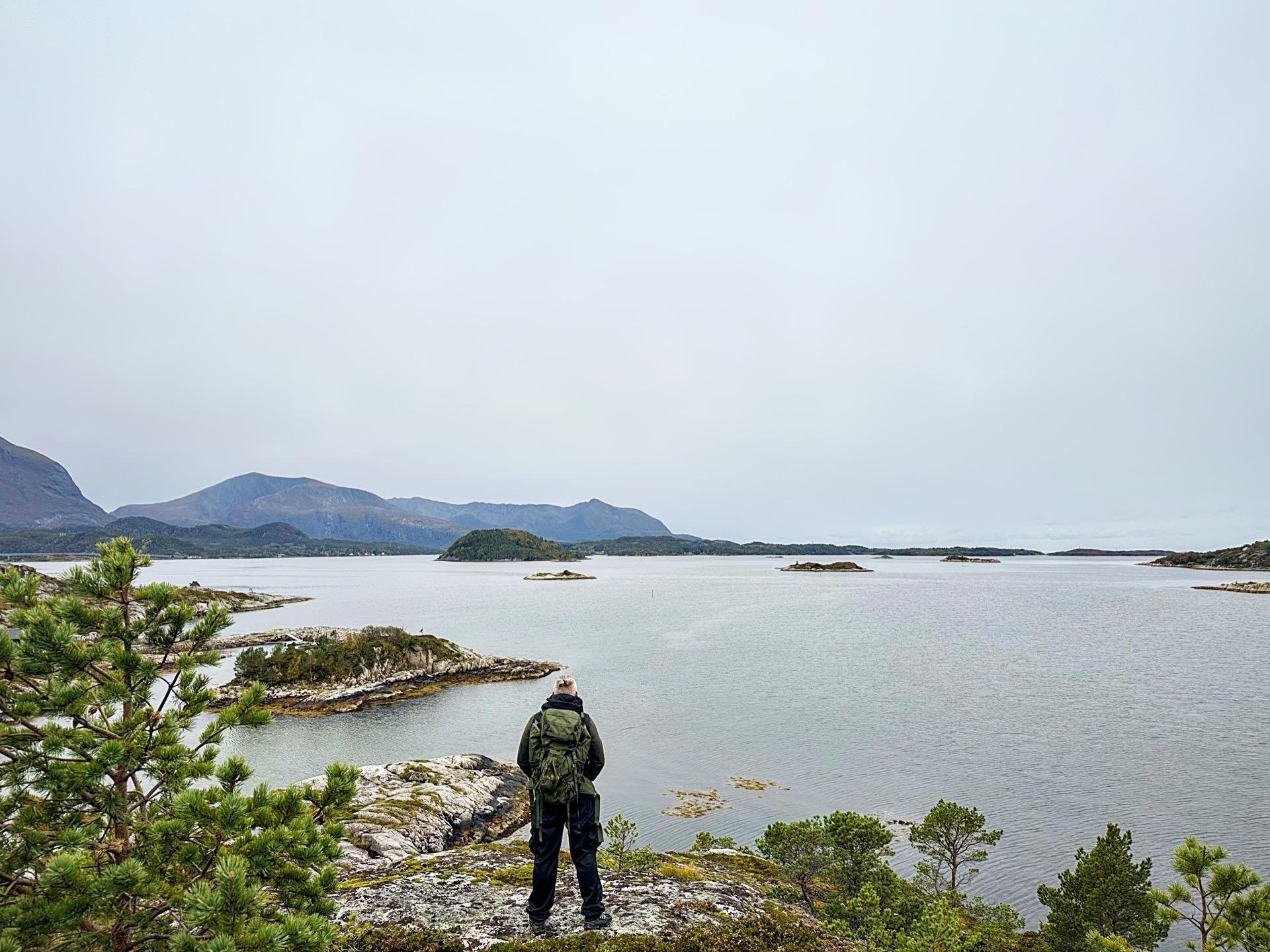 A person in a green jacket and backpack stands at the edge of a rocky outcrop overlooking a tranquil lake with scattered islands. Overcast skies and distant mountains create a serene backdrop. Light foliage, including a prominent pine tree on the left, adds a touch of green to the scene.