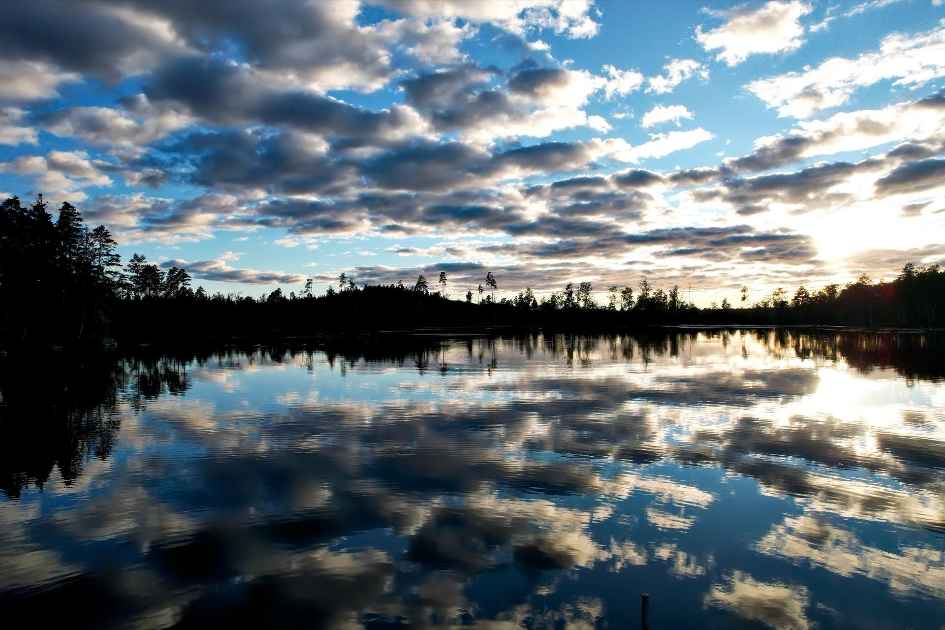 Evening sky reflected in a calm lake surrounded by dark silhouettes of trees. The sky is scattered with numerous small clouds highlighted by a sunset, casting reflections on the water, creating a mirror-like effect.