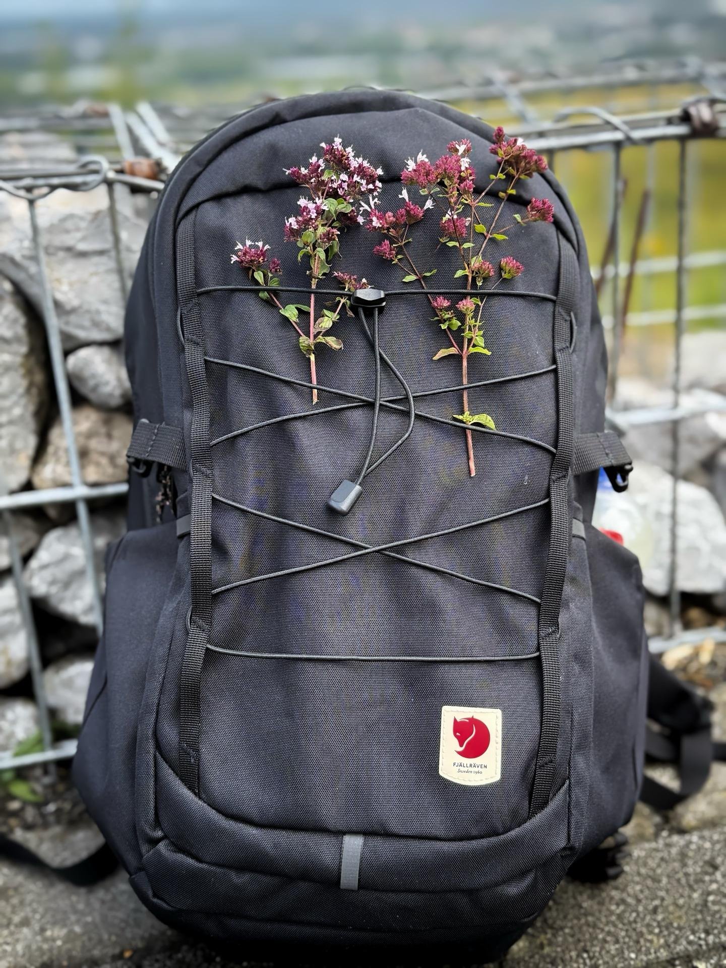 Black backpack with a logo on the front pocket stands against a blurred natural background. The backpack has red and white wildflowers attached to it, with their stems interwoven through the zipper pulls.