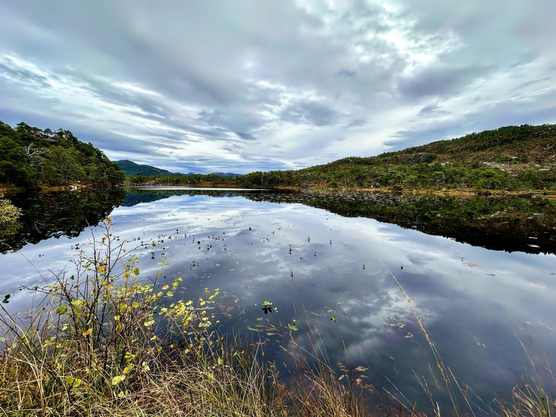Calm lake reflecting a cloudy sky, surrounded by rugged, forested hills. Foreground features scattered foliage and grass at the water's edge, enhancing the scene's tranquil and natural atmosphere.