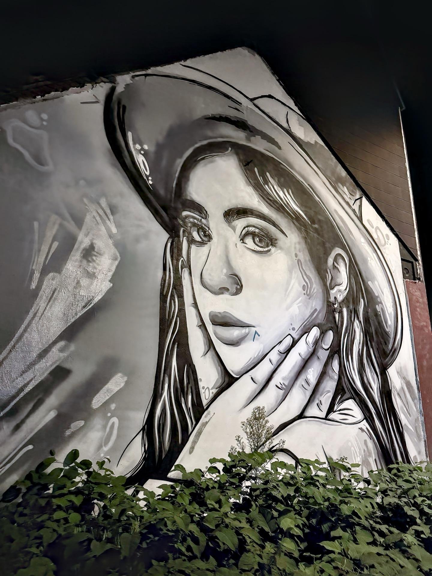 Black and white mural of a woman's face painted on a building wall. The woman is depicted with large eyes and long hair under a wide-brimmed hat, with her hand touching her cheek. A small bush with green leaves is visible at the bottom of the mural. The artwork is rendered in a realistic style with detailed shading and highlights.