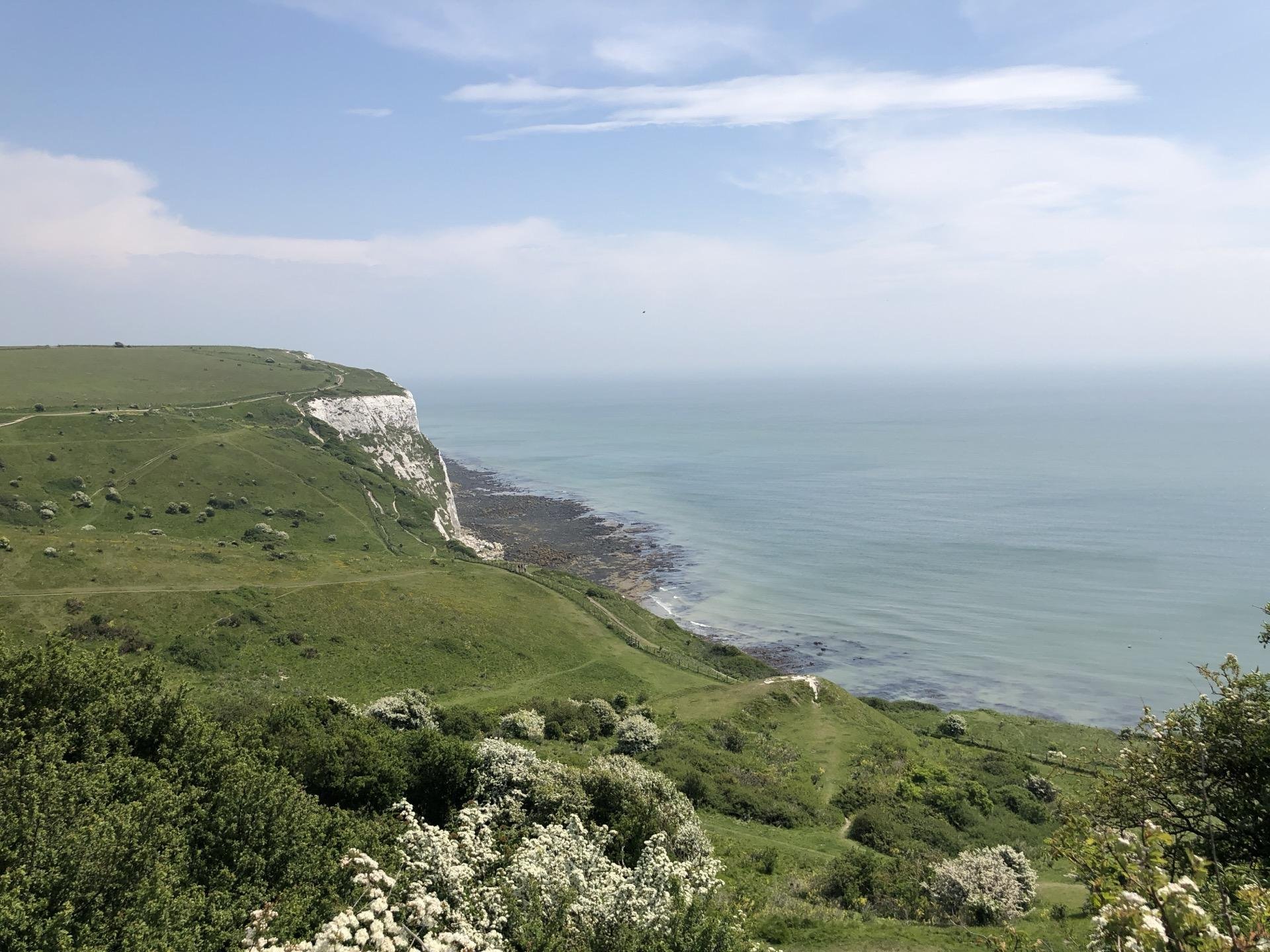 Lush green hillside slopes down to a chalky white cliff overlooking a calm azure sea. Wildflowers and shrubs dot the foreground under a clear sky, enhancing a serene coastal landscape.