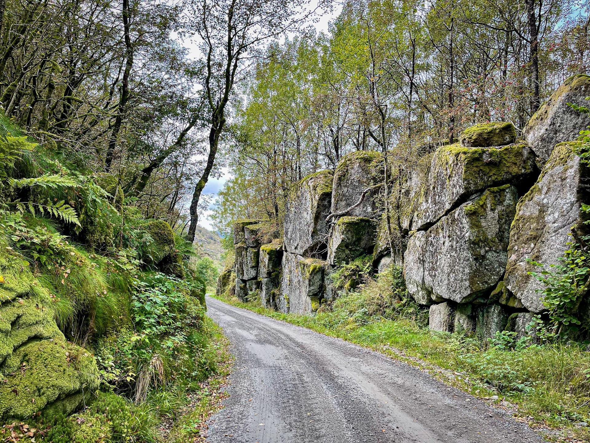 A dirt road surrounded by moss-covered rocks and dense greenery. Tall, jagged rocks line one side of the road while mixed trees with autumn hues border the other. The scene is serene with a gray overcast sky above.