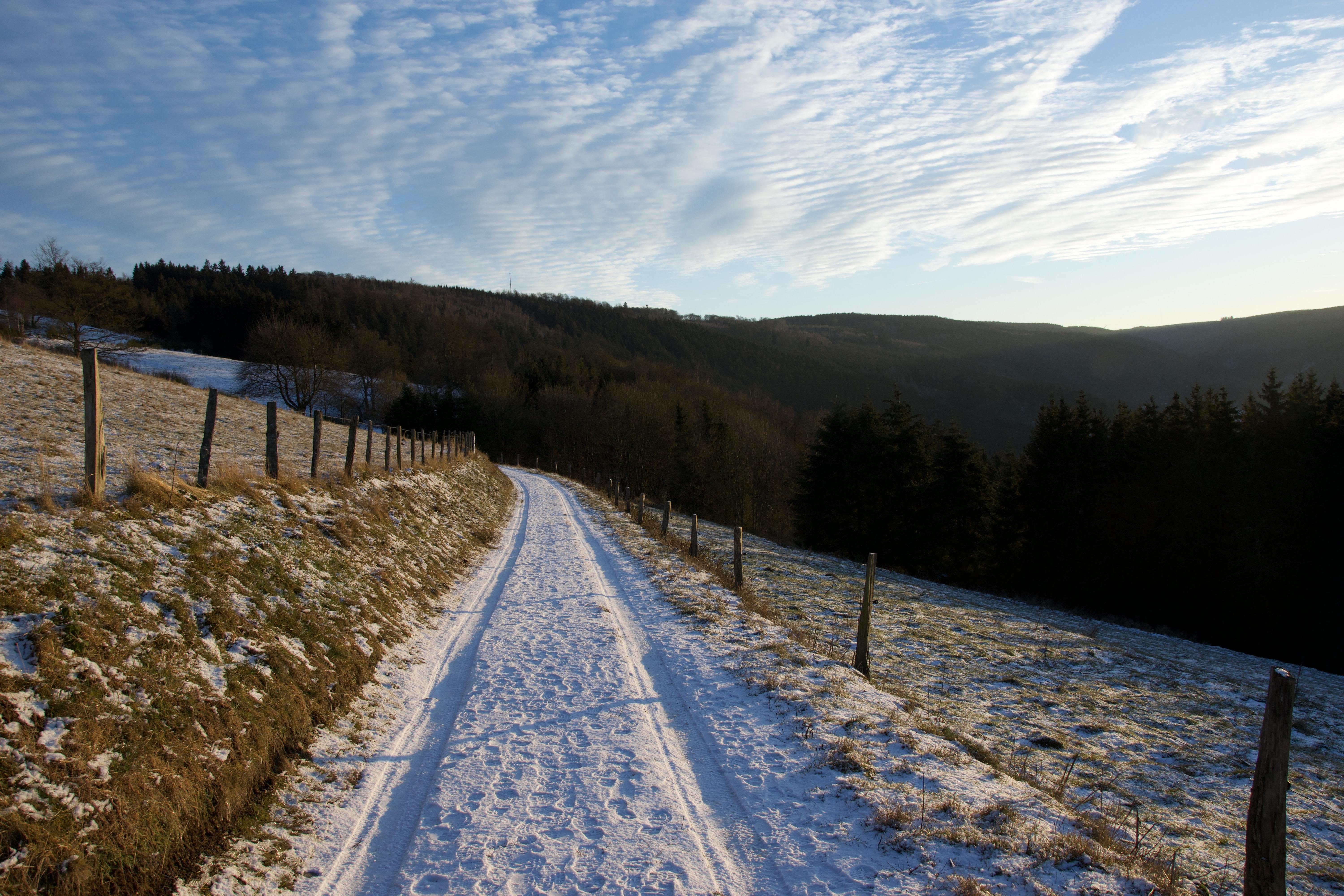 Snow-covered road curving through a rural landscape with sparse grass visible through the snow, bordered by wooden fence posts on the right. The background features rolling hills densely populated with evergreen trees under a blue sky scattered with wispy clouds.