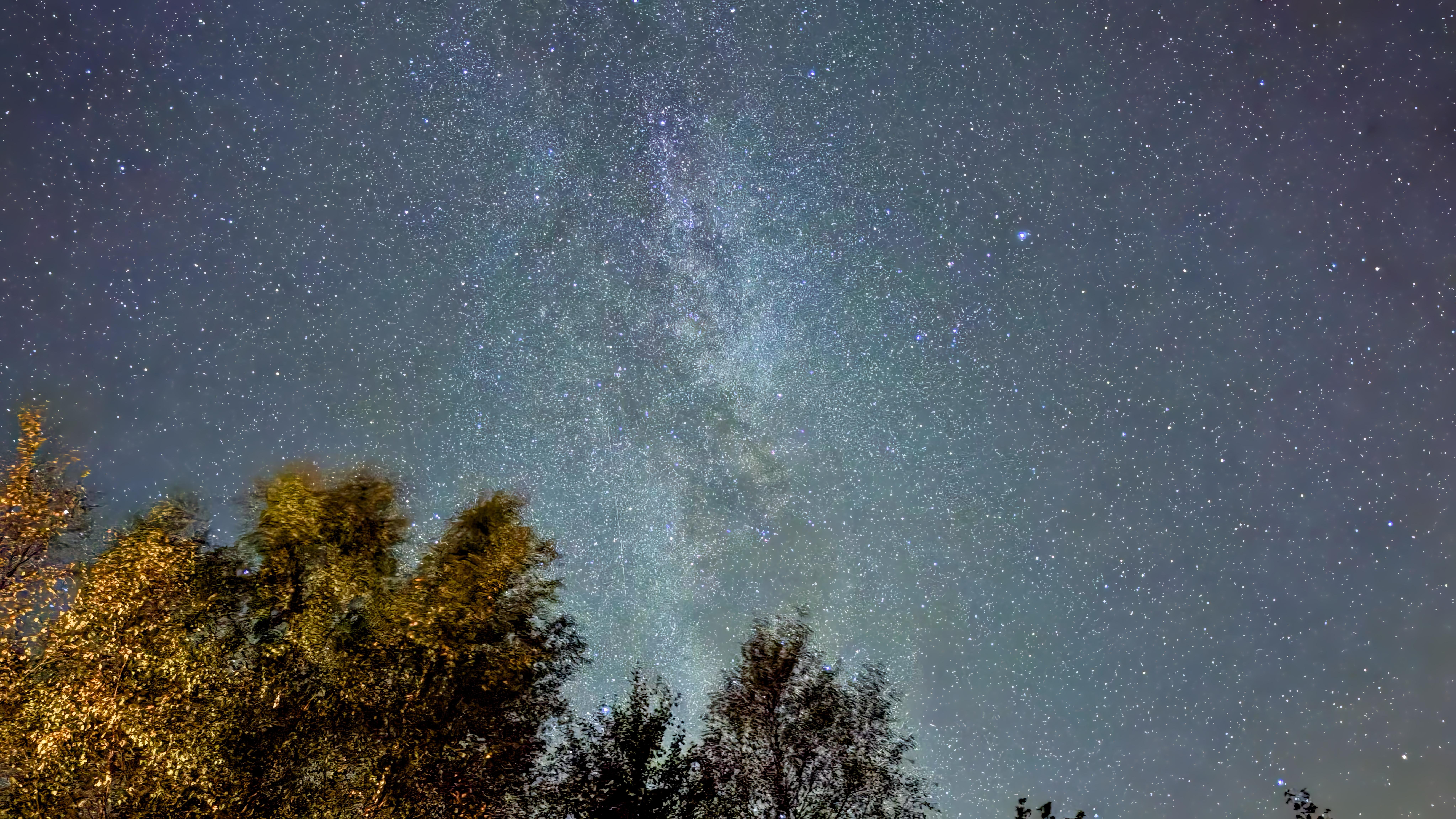 Night sky filled with stars and the Milky Way, visible above silhouetted treetops.