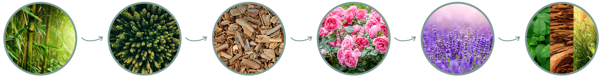 SpaWeesp - Gallery Image 7