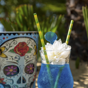 Le Sérignan Plage Nature - Gallery Image 12