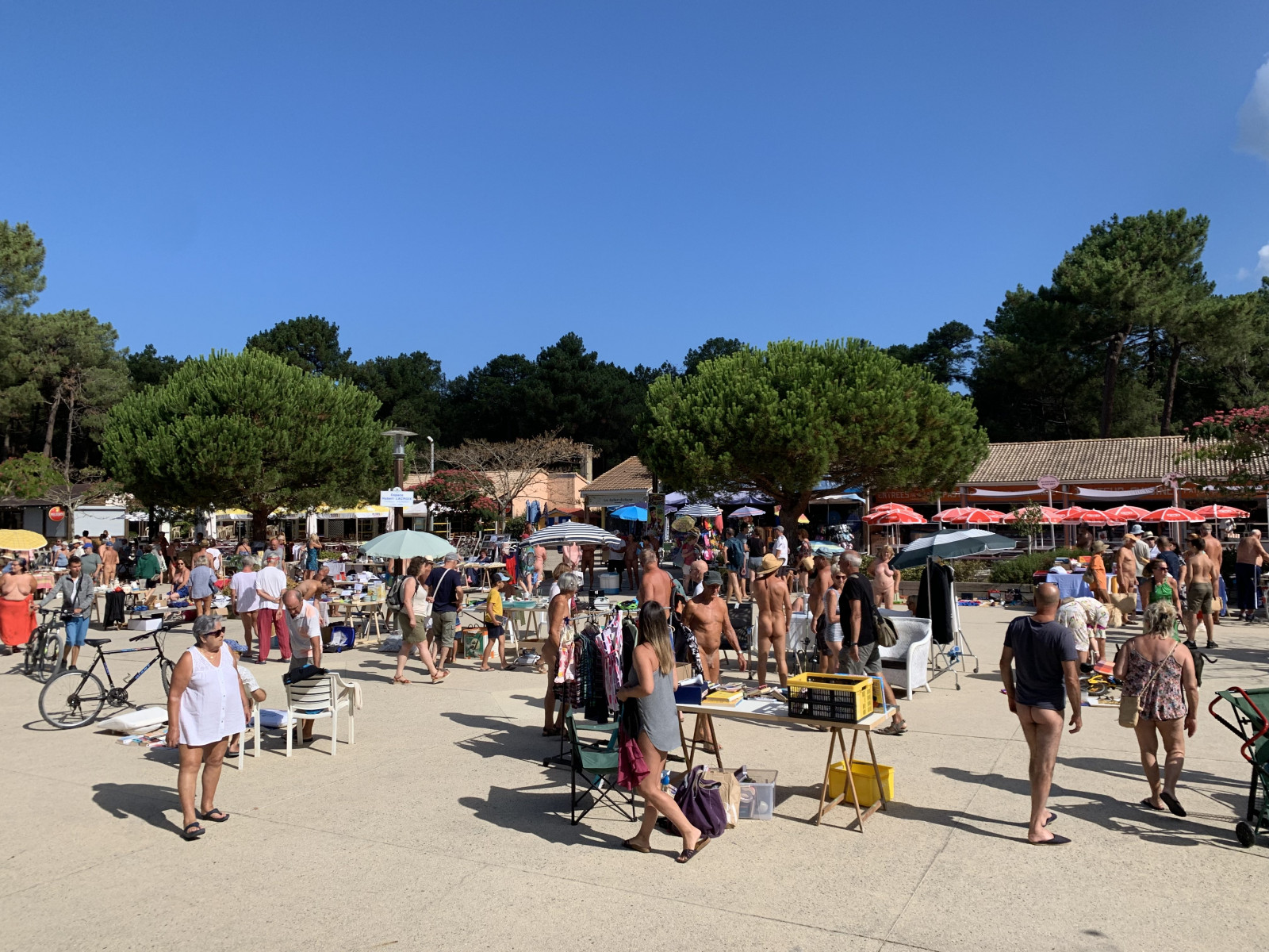 Euronat - Gallery Image 4