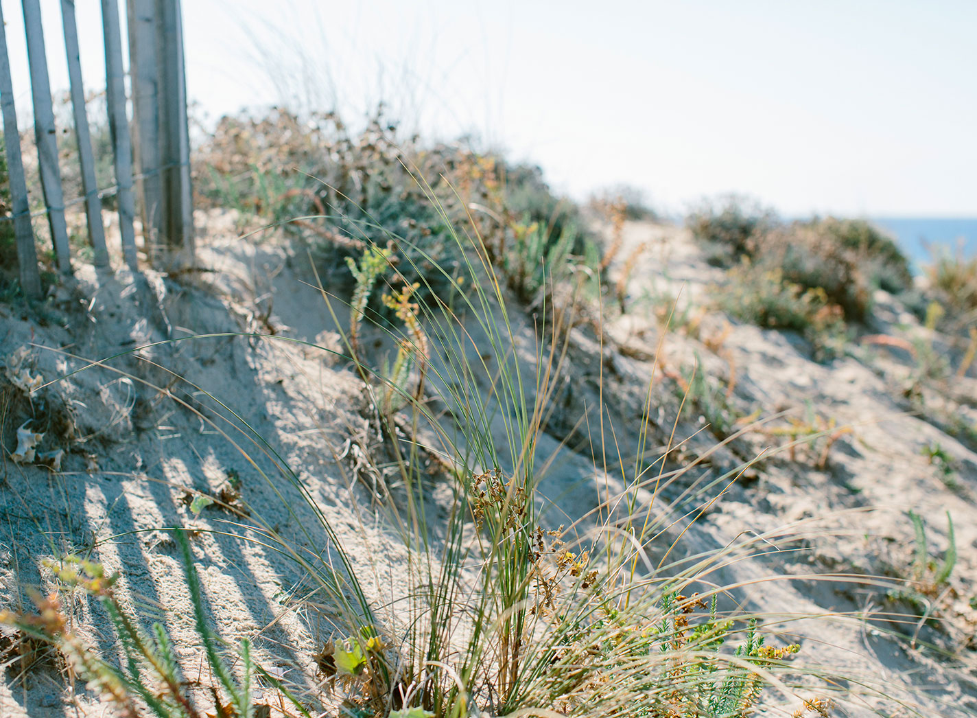 Arnaoutchot - Gallery Image 14