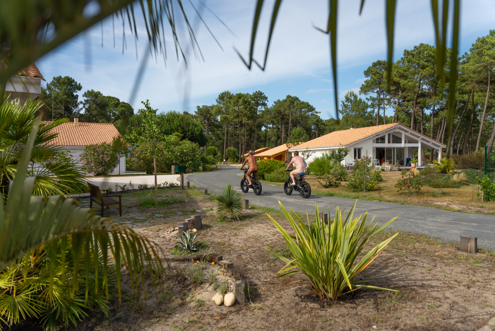 Accommodation nestled in the pine forest at Euronat