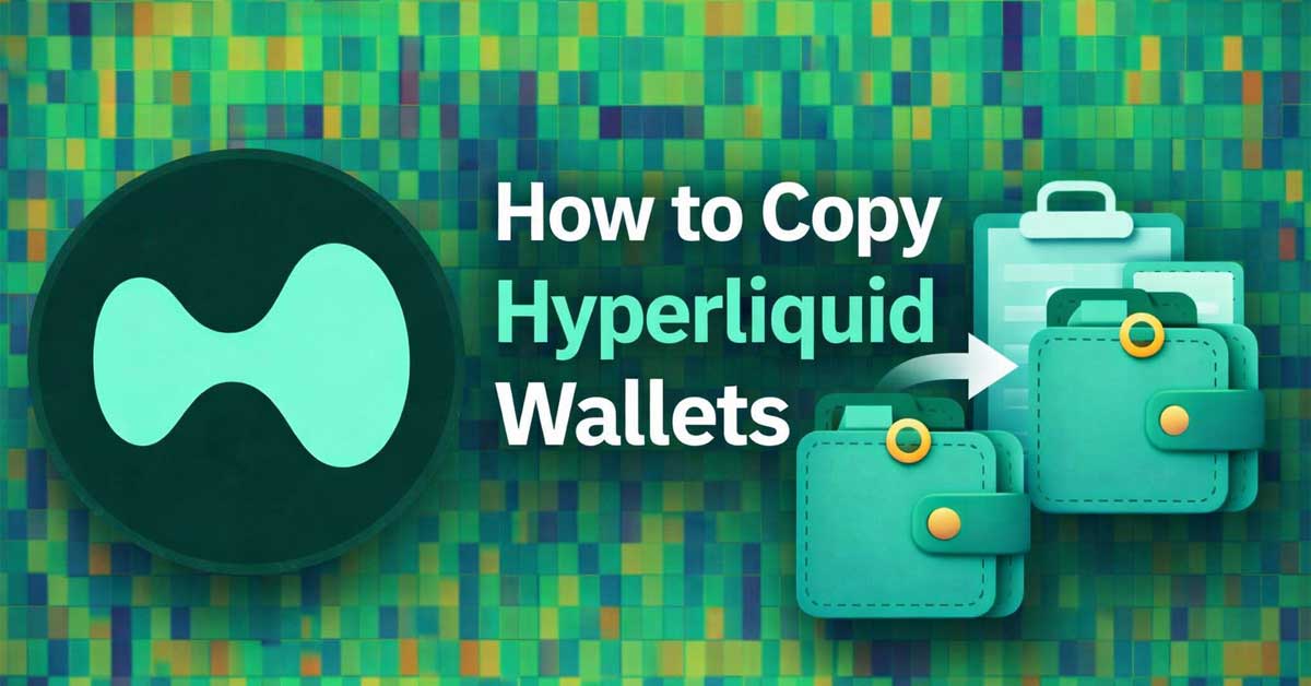 How to Copy HyperLiquid Wallets (Whales, Risks & Smart Strategies)