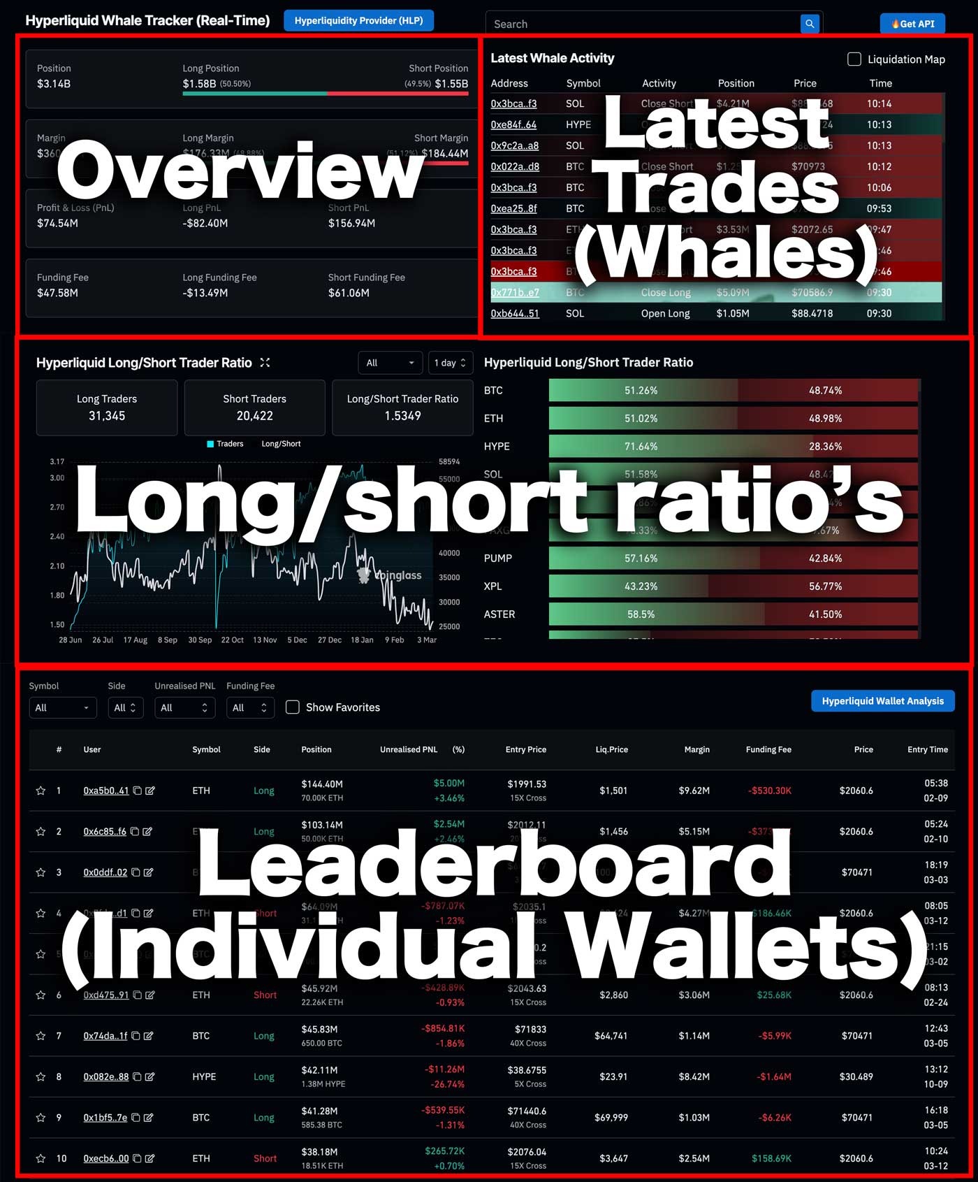 Hyperliquid Whale Tracker Sections Explained