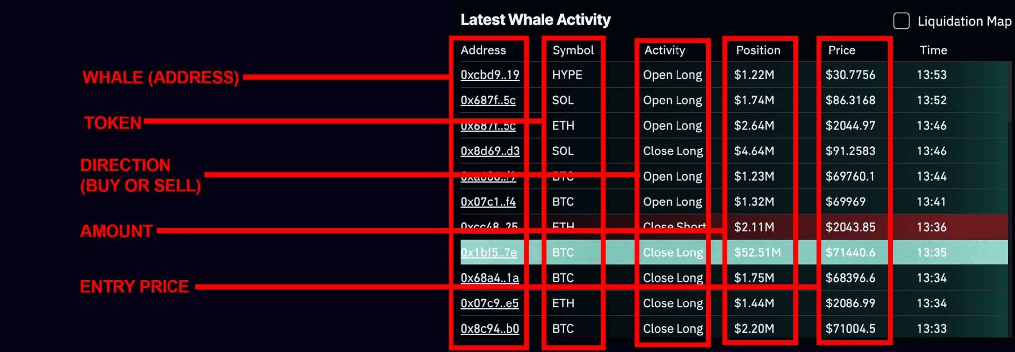 Latest Whale Activity