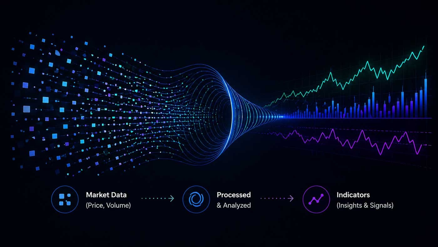 Indicators explainer infographic