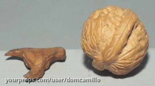 Production/Screenused Props – Apocalypse Now (1979) – image 2