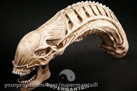 Alien VS Predator Alien Skull Fossil Model – Alien vs. Predator (2004) – image 1