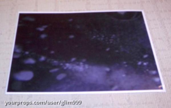 Evidence Photo – Jaws 2 (1978) – image 1