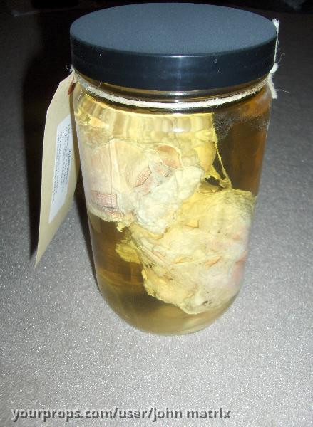 Replica Alien Embryo – The X-Files (1993) – image 1