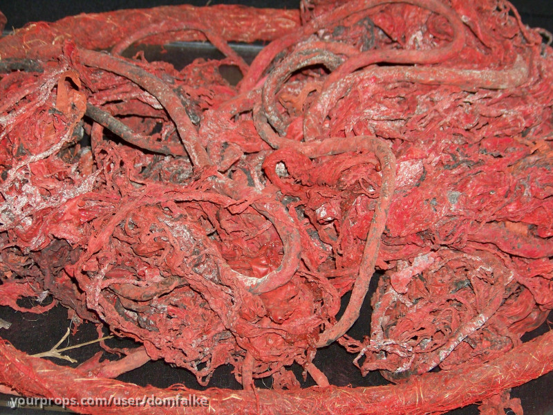 "Huge Piece of Red Weed" – War of the Worlds (2005) – image 3
