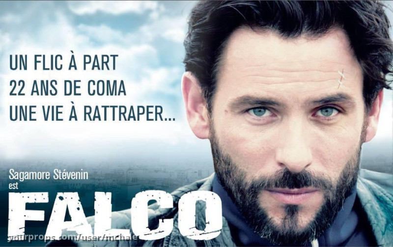 French Police Nationale id's card's and badges set – Falco (2013) – image 2