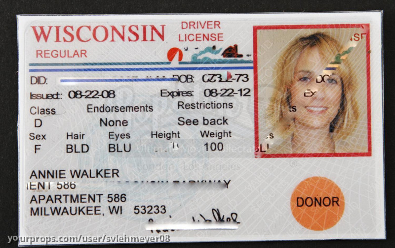 Annies License and Registration – Bridesmaids (2011) – image 2