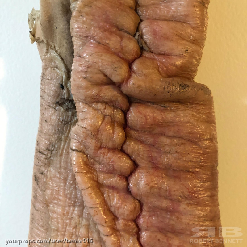 Silicone Arm Prosthetic – Men in Black³ (2012) – image 3