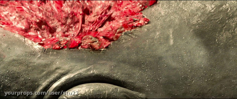Whale Carcass Section – The Shallows (2016) – image 3