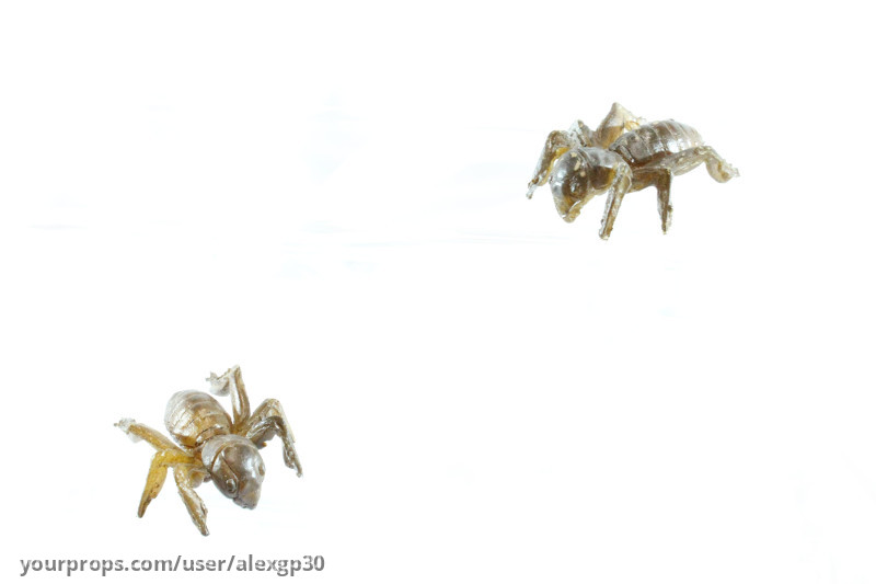 Static Bugs from the bathroom scene – The Unborn (2009) – image 3