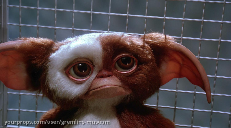 Animatronic Hero Gizmo Puppet – Gremlins 2: The New Batch (1990) – image 4