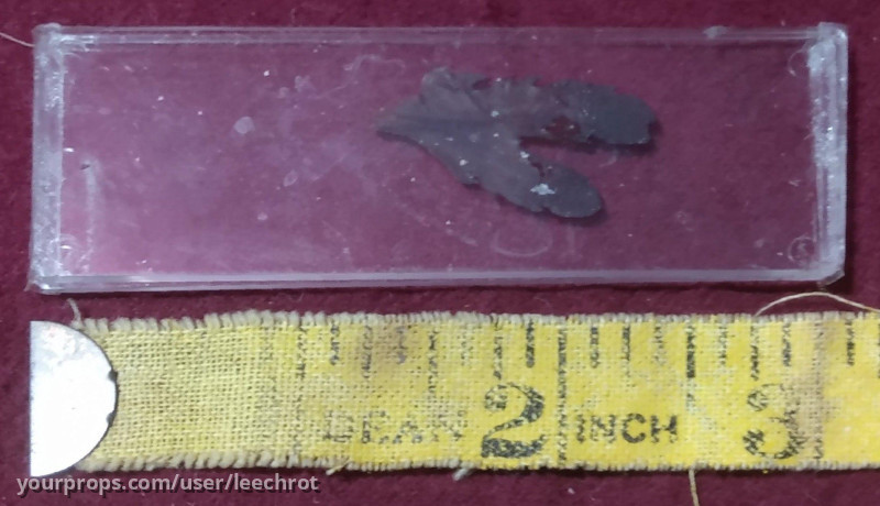 Microscope Specimen Slide (The Pyramid at the End of the World) – Doctor Who: Time War (2017) – image 1