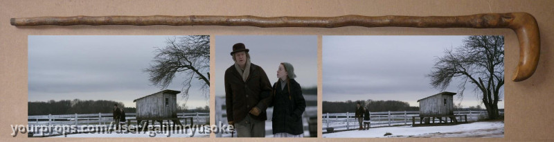 Matthew's Cane – Anne with an E (2017) – image 1