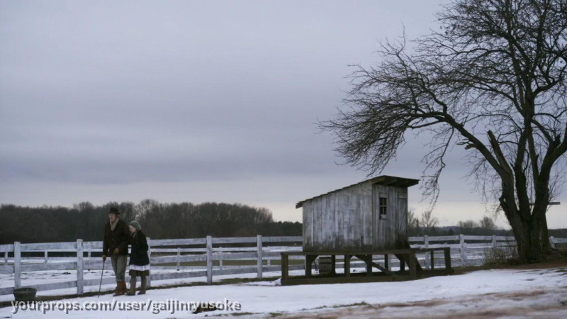 Matthew's Cane – Anne with an E (2017) – image 5