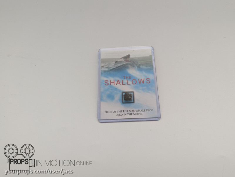 Piece of whale – The Shallows (2016) – image 1