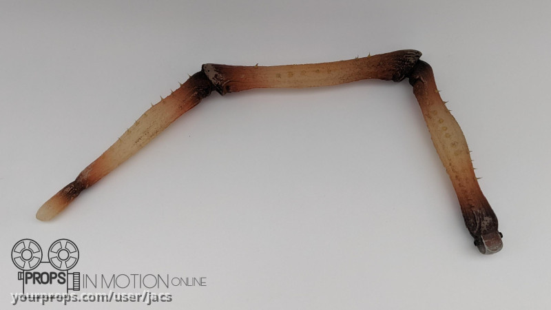 Hero Animatronic Spider Leg – Jumanji (1995) – image 1